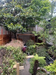 Kensington & Chelsea Project